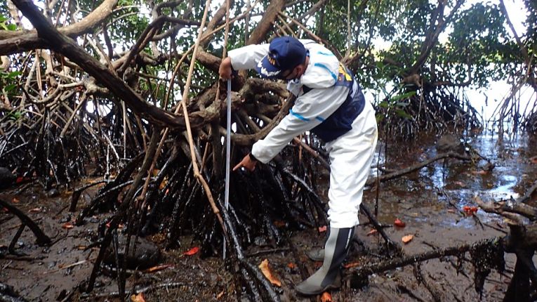 Petróleo sendo retirado de mangue nas Ilhas Maurício