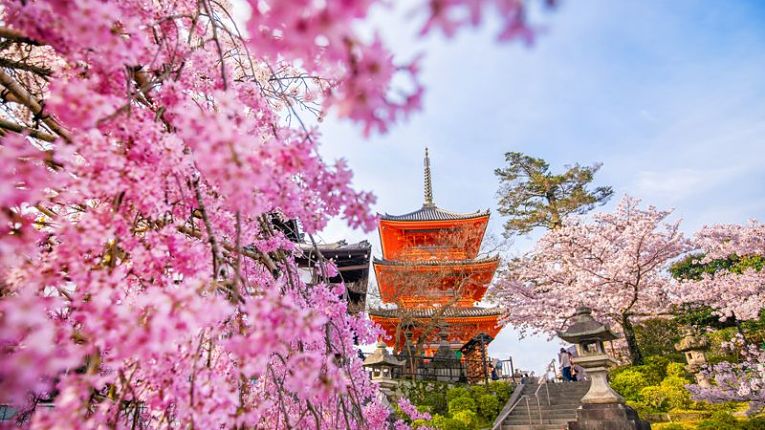 Florescer das sakuras em 2021