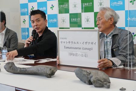 Cientistas japoneses apresentam nome Yamatosaurus Izanagii