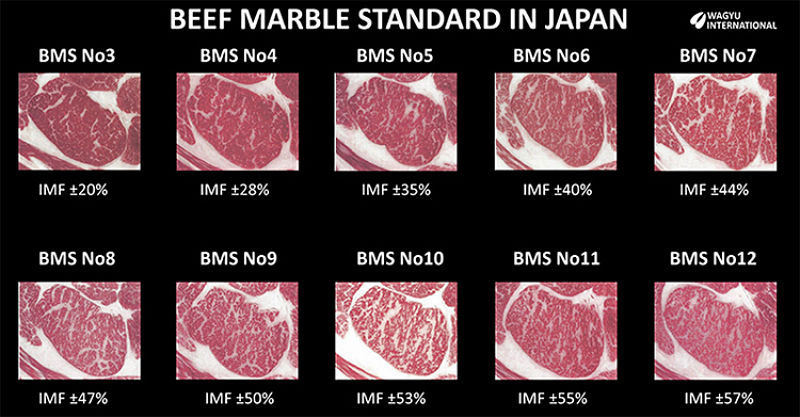 Escala de qualidade marmorização wagyu