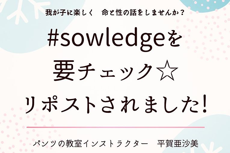 Banner para as redes sociais do grupo Sowledge