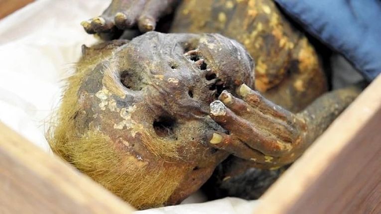 A pequena múmia sereia japonesa aparenta ter tido um fim trágico dada a expressão de seu rosto e as mãos levadas a face