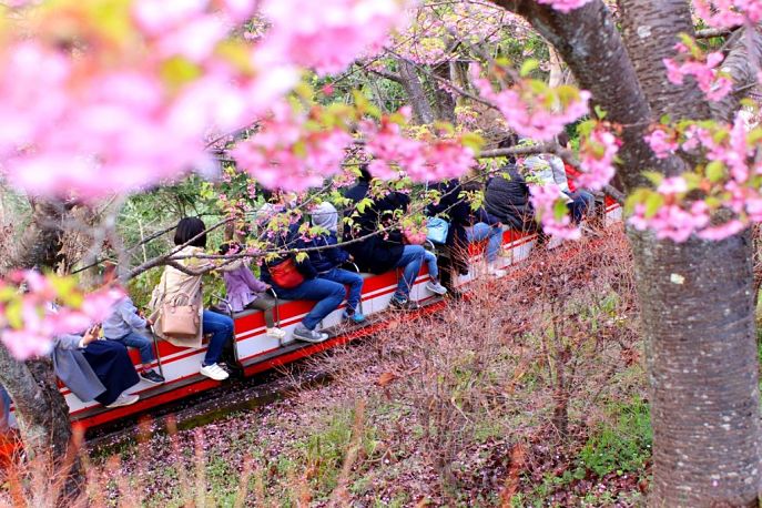 Trem furusato que percorre o monte matsuda