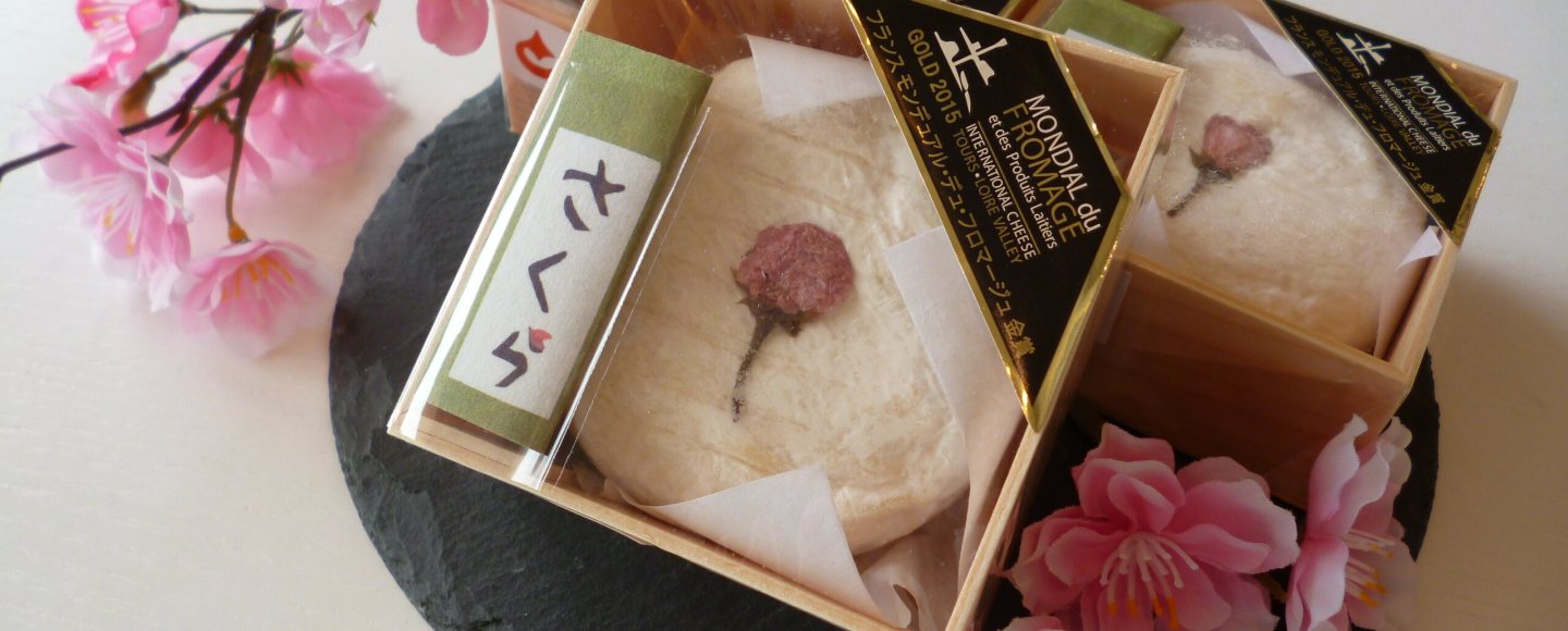 Queijo de sakura