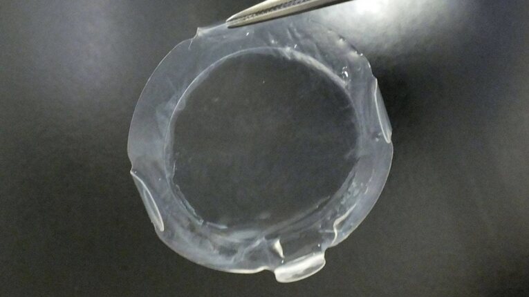 Córnea feita a partir de células tronco pluripotentes induzidas criada pela equipe do departamento de oftalmologia da Universidade de Osaka liderada pelo professor Koji Nishida