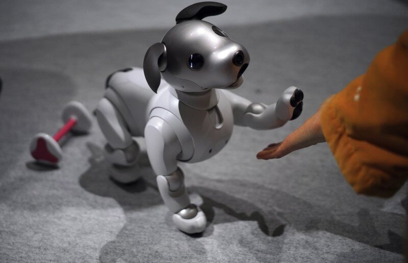 Pet robô Aibo