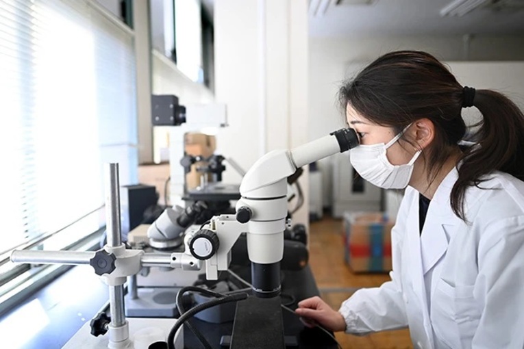 Rigidez e poucas oportunidades em instituições de ensino superior no Japão atrai jovens cientistas para o país vizinho, a China 