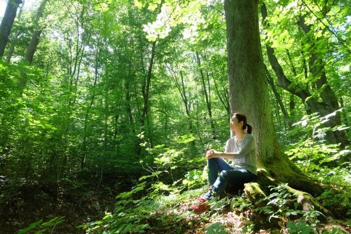 Mulher sentada em pé de árvore no meio da floresta com