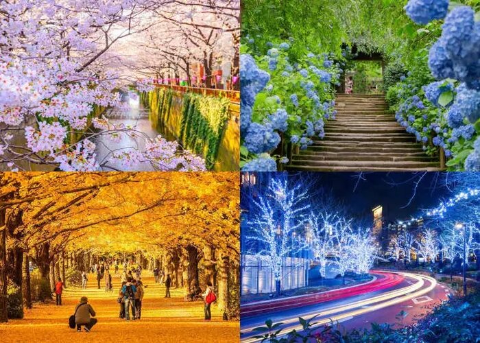 Japão é pautado pelas 4 estações do ano