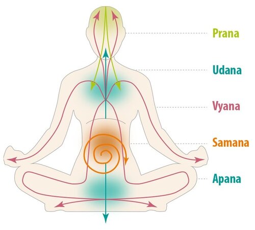Como os 5 Prānas ou 5 Vayu agem no corpo humano