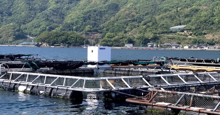 Tanque de aquacultura no Japão com estrutura no mar