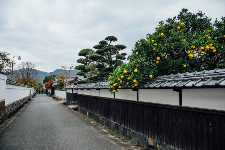 A preservada cidade do castelo de Hagi, também conhecido como castelo de Shizuki, sede do poder do clã Mōri