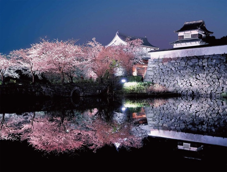 Festival das Sakuras nas ruínas do castelo de Fukuoka