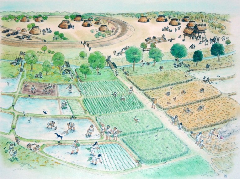 As ruínas de Itazuke é preservada pelo museu Yayoi-kan na cidade de Fukuoka. Foram encontrados no local grãos de arroz com mais de 2300 anos. A ilustração presume como viviam as pessoas da região no período Yayoi (300 a.C - 250 d.C)