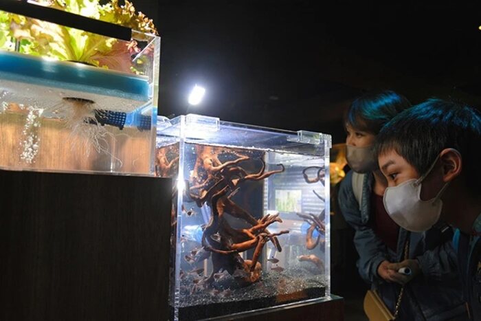 Aquário Sunshine em Ikebukuro usa sistema de aquaponia para mostrar a visitantes em turismo sustentável