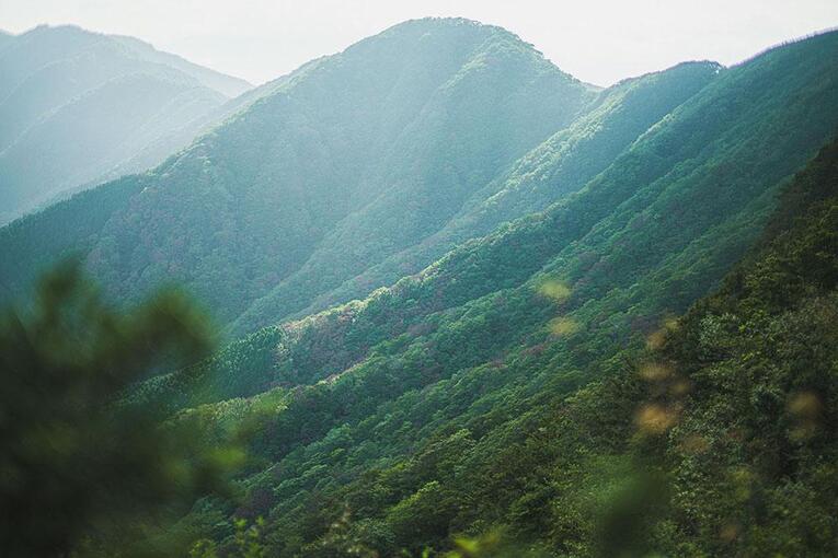 Monte Ashigara, também conhecido como Monte Kintoki. A bela formação geológica de 1.213 metros de altitude fica na fronteira entre as prefeituras de Kanazawa e Shizuoka no Fuji-Hakone-Izu Kokuritsu Kōen ("富士箱根伊豆国立公園", Parque Nacional Fuji-Hakone-Izu)