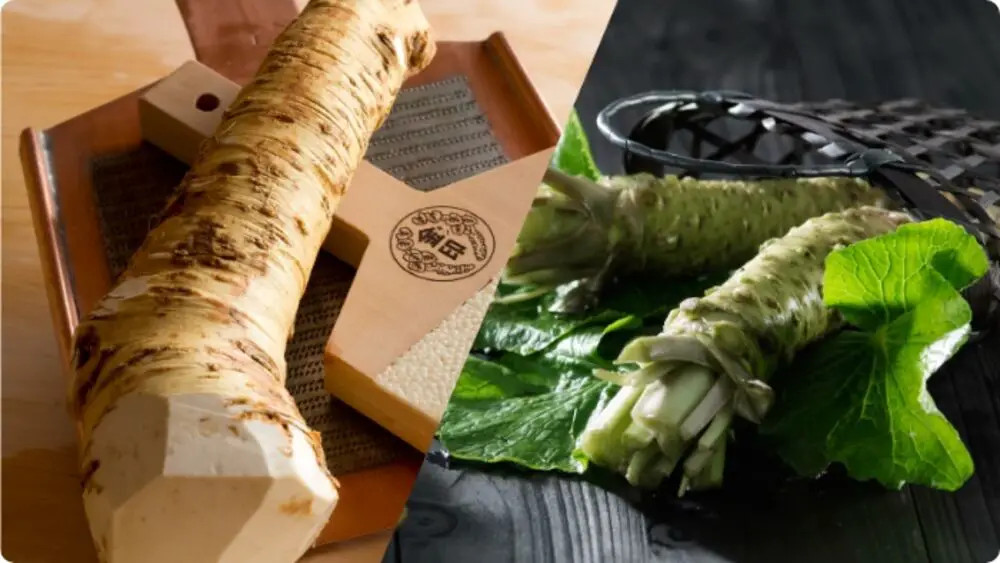 Desmistificando o mito do wasabi real