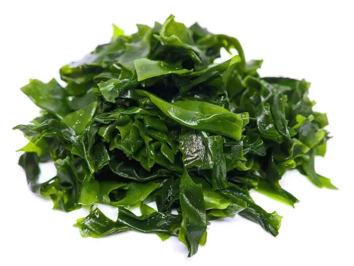 Aspecto do wakame cozido