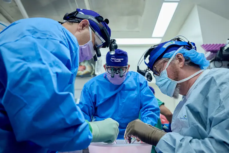 Equipe médica da New York University realizando procedimento de xenotransplantação