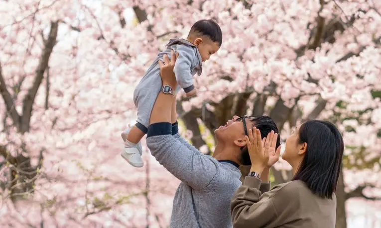 Com cada vez menos nascimento acontecendo fora dos casamentos, o declínio de casamentos no Japão alertam para mais um fator que influenciará na crise de baixa natalidade que o país enfrenta