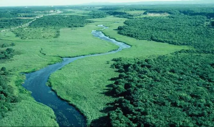 Terra úmida de Kushiro é habitat natural de gru no Japão
