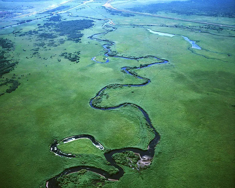 Terra úmida em Hokkaido é importante para manter o habitat natural das garças japonesas, como manter um ecossistema