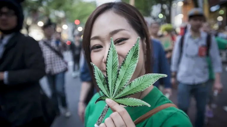 Adolescentes e jovens adultos na faixa etária dos 20 anos responderam por 73,5% dos casos de investigação de consumo de cannabis em 2023