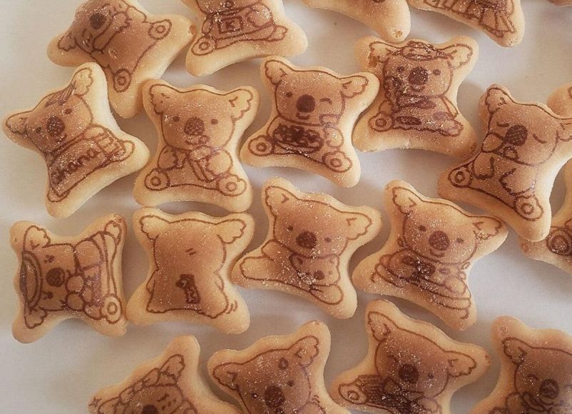 Biscoito de coala da Lotte - Koalas March