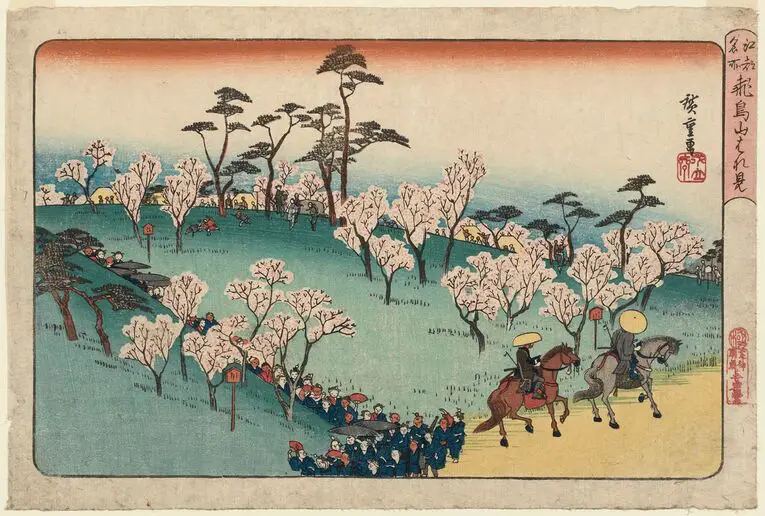 Popularização da apreciação das sakuras aconteceu a partir de 1720 quando Tokugawa Yoshimune ordenou a plantação de cerejeiras em Asakusa e Asukayama
