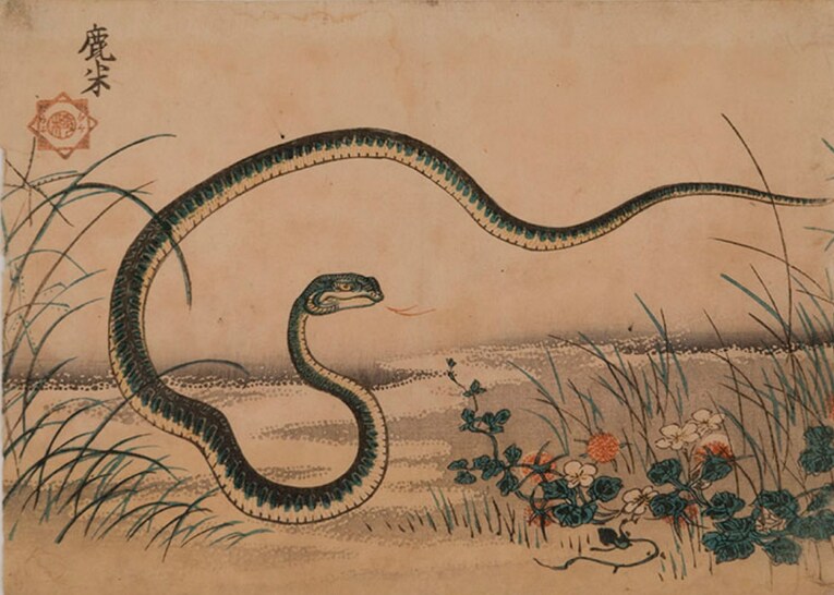 Ano da Serpente (“巳”, Hebi)