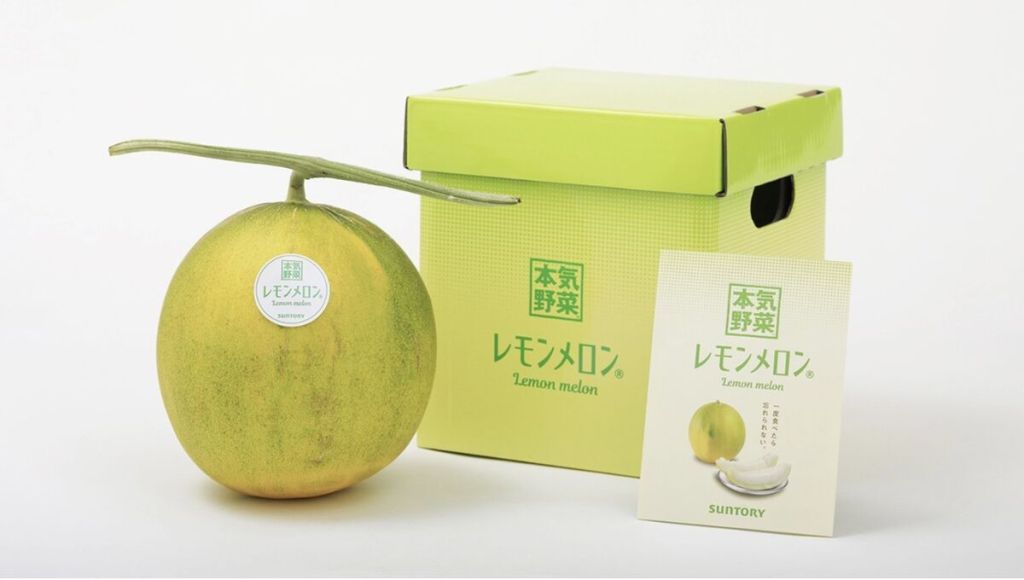 Melão de limão é nova fruta do Japão