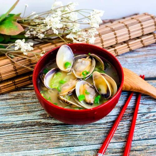 Molusco faz parte das comidas sazonais primavera japonesa
