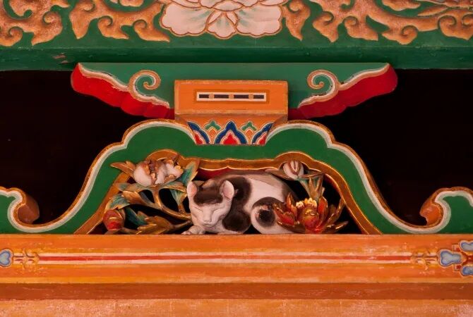 Nomurineko fica antes do mausoleu homenageando Tokugawa Ieyasu e um ponto famoso do santuário Toshogu Nikka