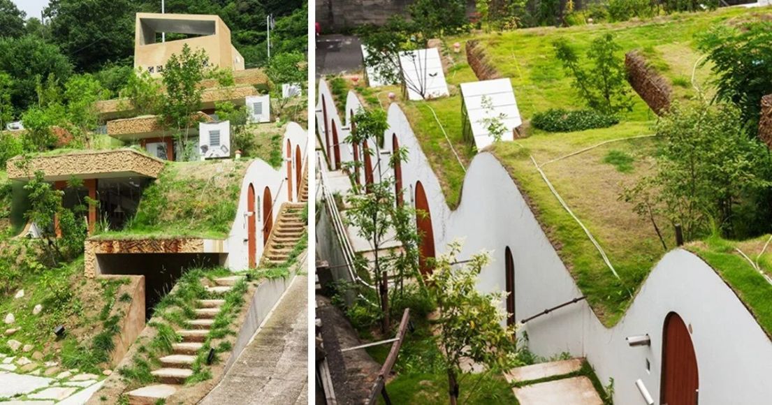 Telhado verde Greendo Teika Nagata