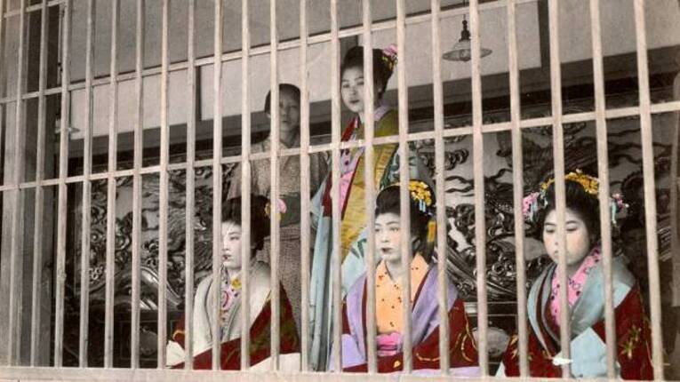 Tomesode Shinzō e Furisode Shinzō ficam atrás das treliças Harimise aguardando por clientes. As Shinzō, aprendizes, não aceitavam clientes até completarem 16 ou 17 anos, as Bantō Shinzō atuavam gerenciando o funcionamento dos estabelecimentos dos distritos da luz vermelha