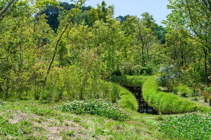 Livraria no Japão fica abaixo do subsolo em vale de fazenda de agricultura Kirkku no Japão
