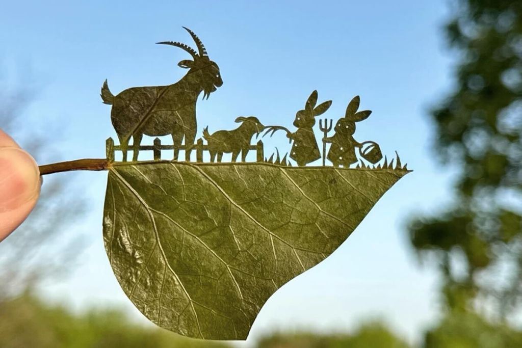 Incisão com faca cirúrgica feita a mão em folhas de Lito Leaf Art