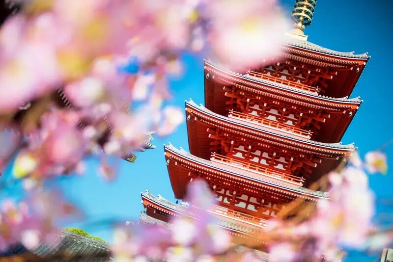 Arte e beleza das arquiteturas, das exposições, da beleza de tudo faz ser um dos motivos para visitar o Japão