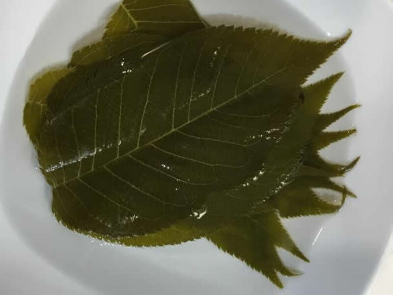 Folhas de sakura são comestíveis