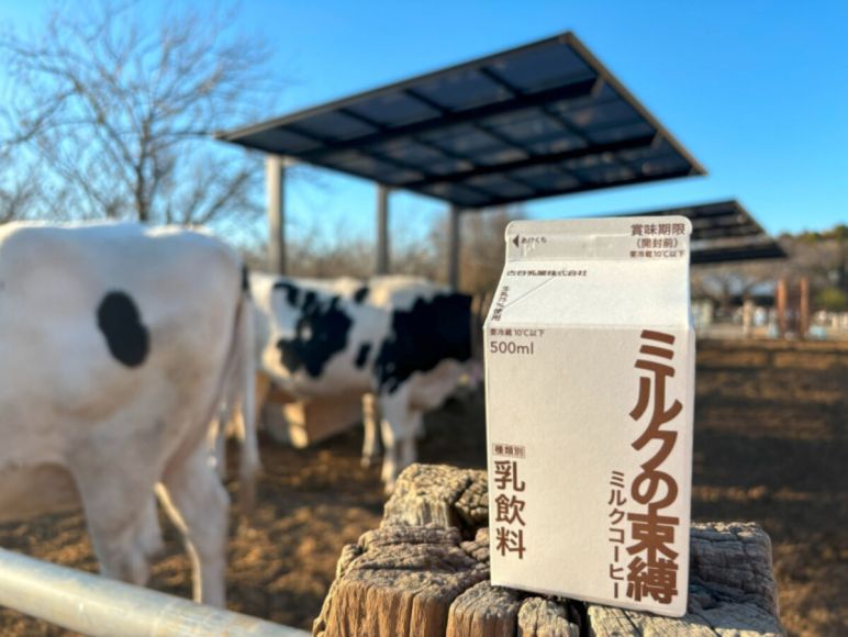 Leite com café e açúcar faz sucesso no Japão