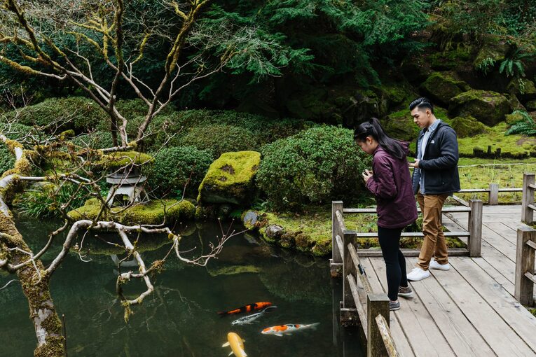 Pequenas atitudes como a contemplação de peixes nadando em um lago é uma forma de Ma, ainda que inconsciente