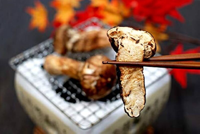 Cogumelo matsutake é delícia de comida típica do outono no Japão
