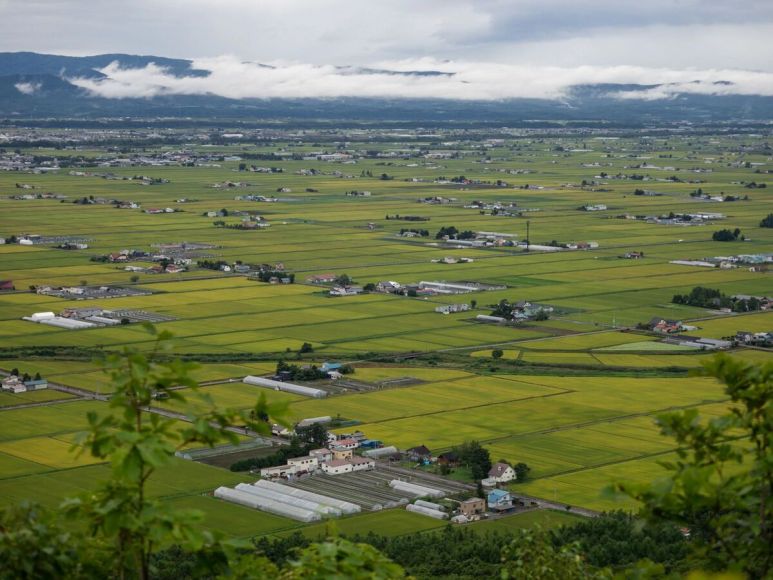 Higashikawa eleito melhor lugar para se viver no Japão