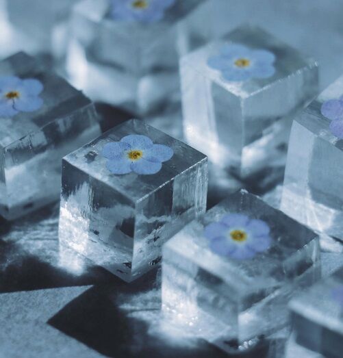 Doce wagashi sobremesa artística japonesa Tomei