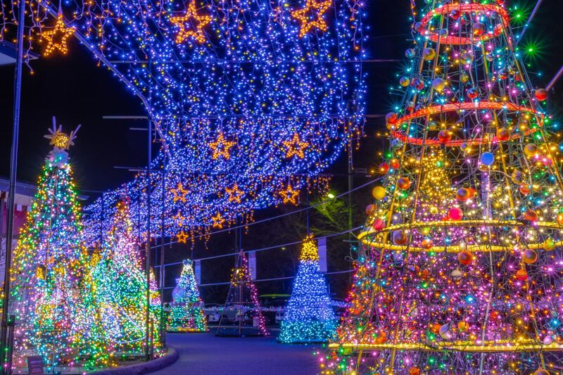 Iluminações nas ruas decoram o Japão na época do natal