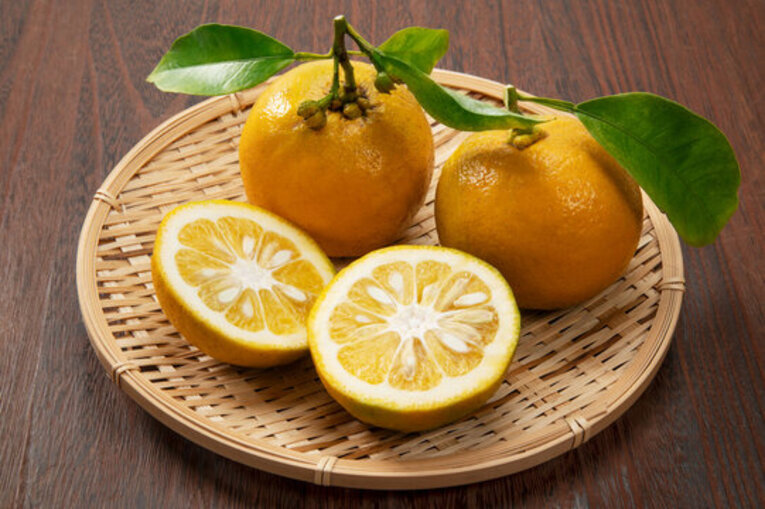 Daidai, a laranja azeda que vai no topo do Kagami Mochi e simboliza a prosperidade para as futuras gerações