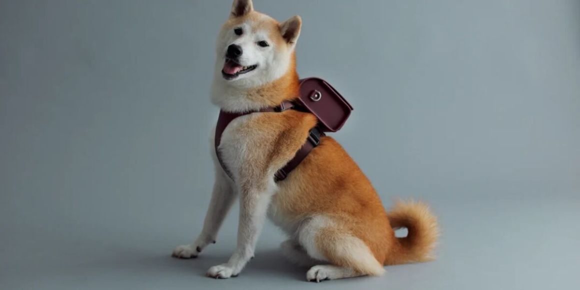 Pet randoseru
