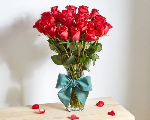 Rosas no natal são flores comuns da época no Japão por conta de sua simbologia romântica