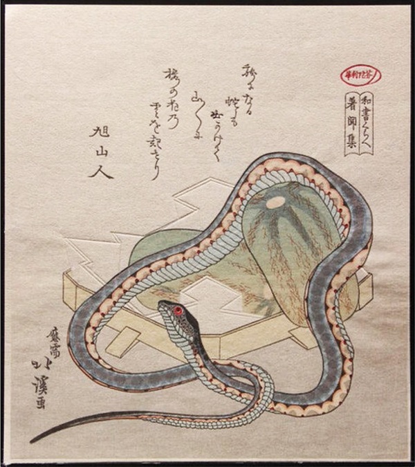 Triunfo e tragédia não devem ser interpretados como uma dramartugia. Os ciclos da Serpente e do Dragão são aqueles que não deixam contas para acertas, seja para o bem quanto para o mal