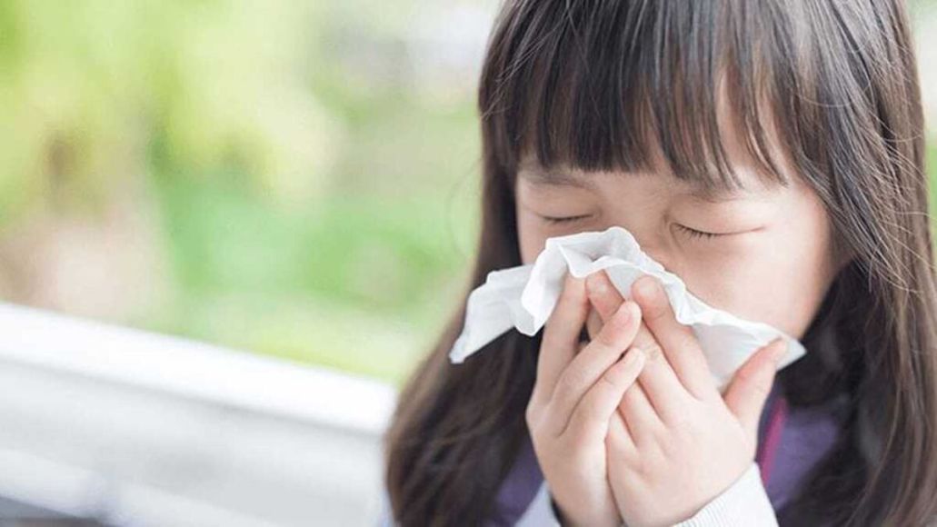 Como se proteger da temporada de alergia no Japão conhecida como febre do feno